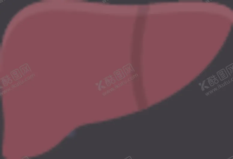 编号：38805406252222079257【酷图网】源文件下载-肝脏