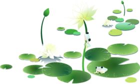 荷花元素