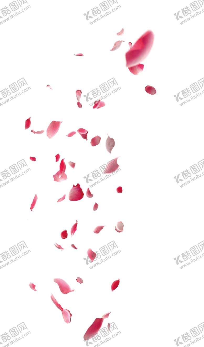 编号：62030810190931329935【酷图网】源文件下载-玫瑰花装饰素材