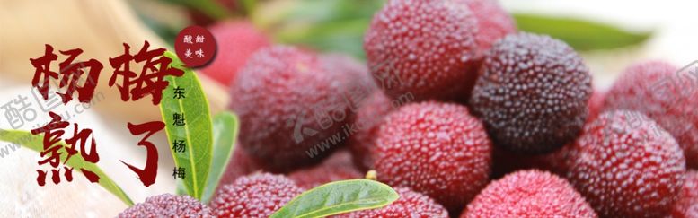 编号：84360409140926518991【酷图网】源文件下载-杨梅