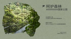 爱护森林人人有责
