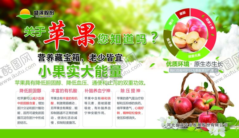 编号：81987104120211498191【酷图网】源文件下载-苹果