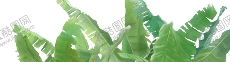 编号：83440809201253333409【酷图网】源文件下载-绿色树叶植物清新传统插画背景
