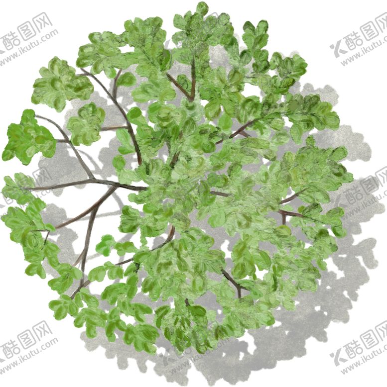 编号：48531404200552008054【酷图网】源文件下载-手绘植物