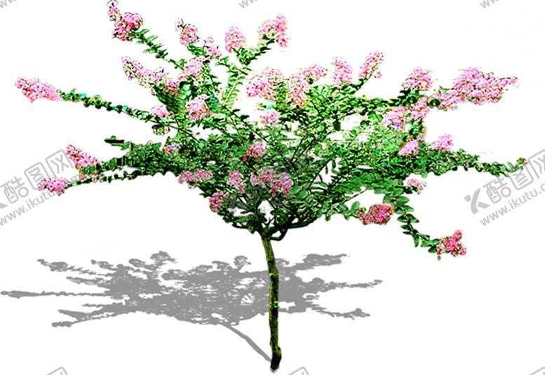 编号：80691609092123321868【酷图网】源文件下载-绿色装饰