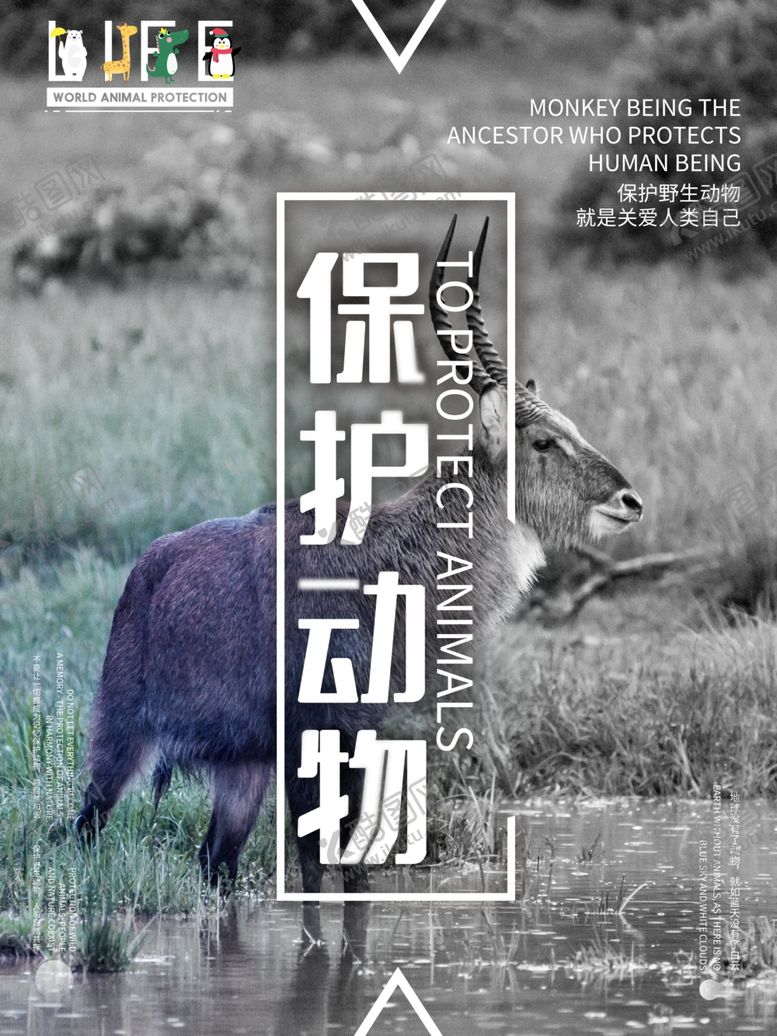 编号：39474210282028243804【酷图网】源文件下载-保护动物