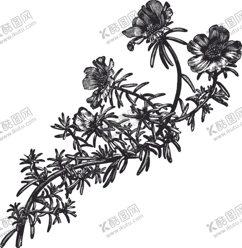 编号：58458406240529527726【酷图网】源文件下载-线描植物