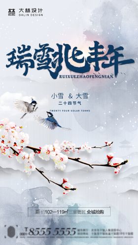 中国传统节气大雪小雪海报