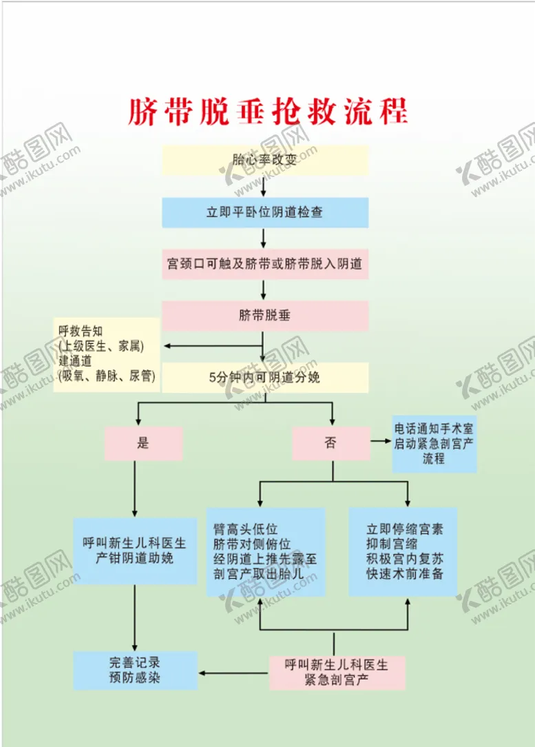 编号：26867010312148469770【酷图网】源文件下载-脐带脱垂抢救流程