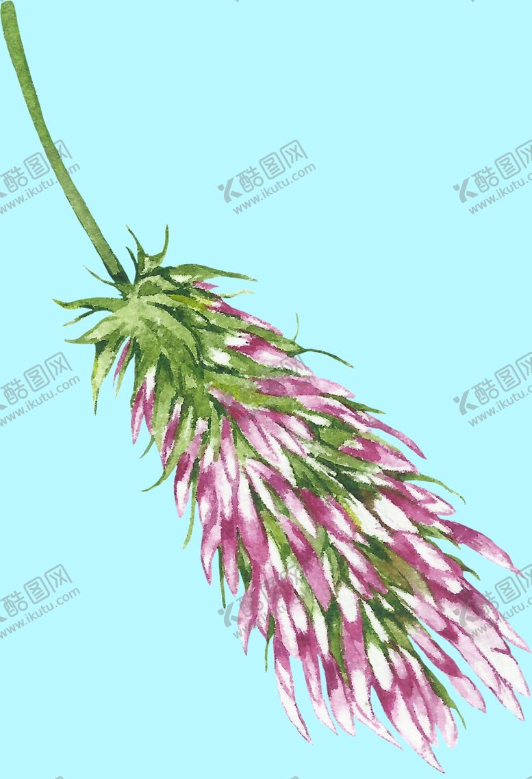 编号：23170110072224363958【酷图网】源文件下载-花卉树叶