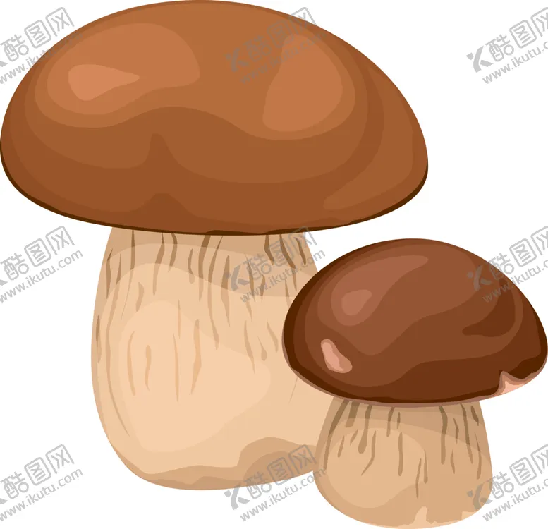 编号：17559102081951188636【酷图网】源文件下载-蘑菇