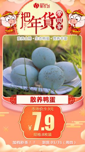 年货秒杀散养鸭蛋