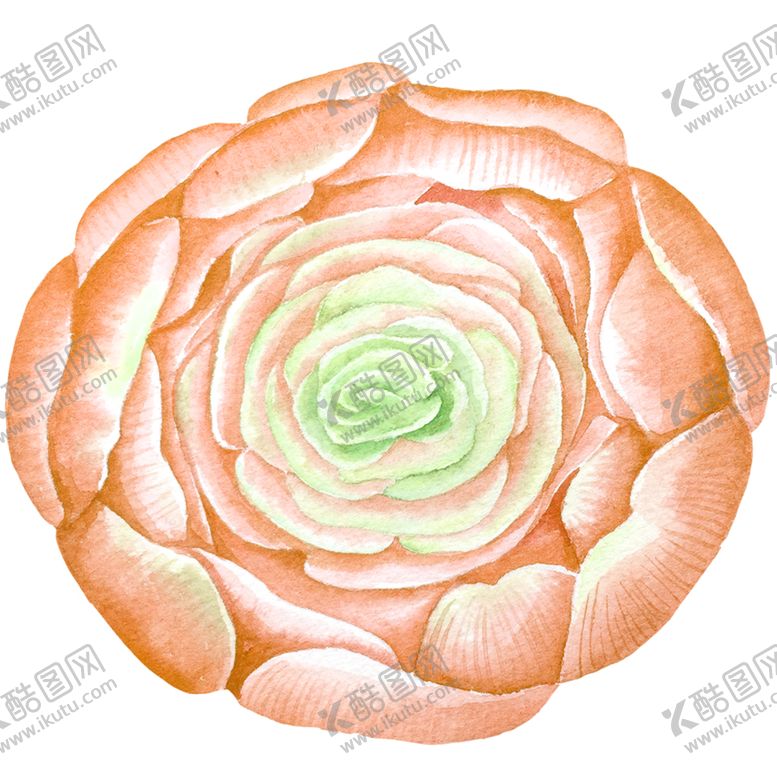 编号：72715109221050147661【酷图网】源文件下载-手绘植物