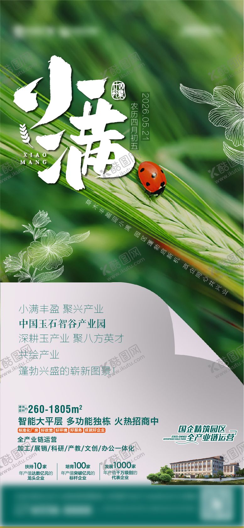 编号：68663205230034245786【酷图网】源文件下载-小满麦子七星瓢虫