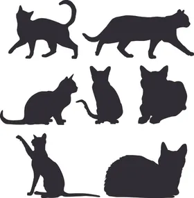 猫卡通