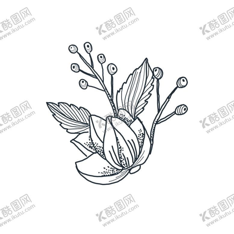 编号：65377810140059243563【酷图网】源文件下载-花草素材