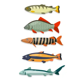 海洋生物底世界卡通鱼类