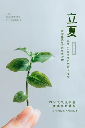 立夏海报至转发图朋友圈初24节气