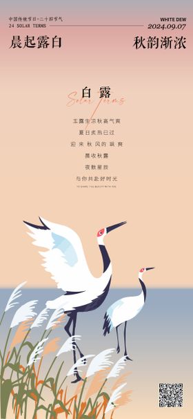 白露海报鹤鹭二十四节气芦苇