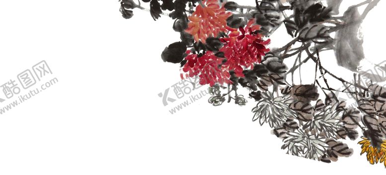 编号：43188901301021126004【酷图网】源文件下载-菊花