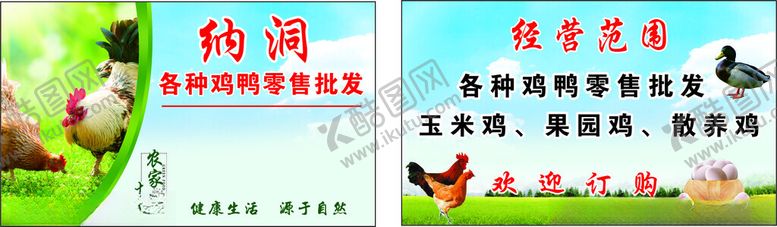 编号：85341302061508242482【酷图网】源文件下载-各种鸡鸭批发