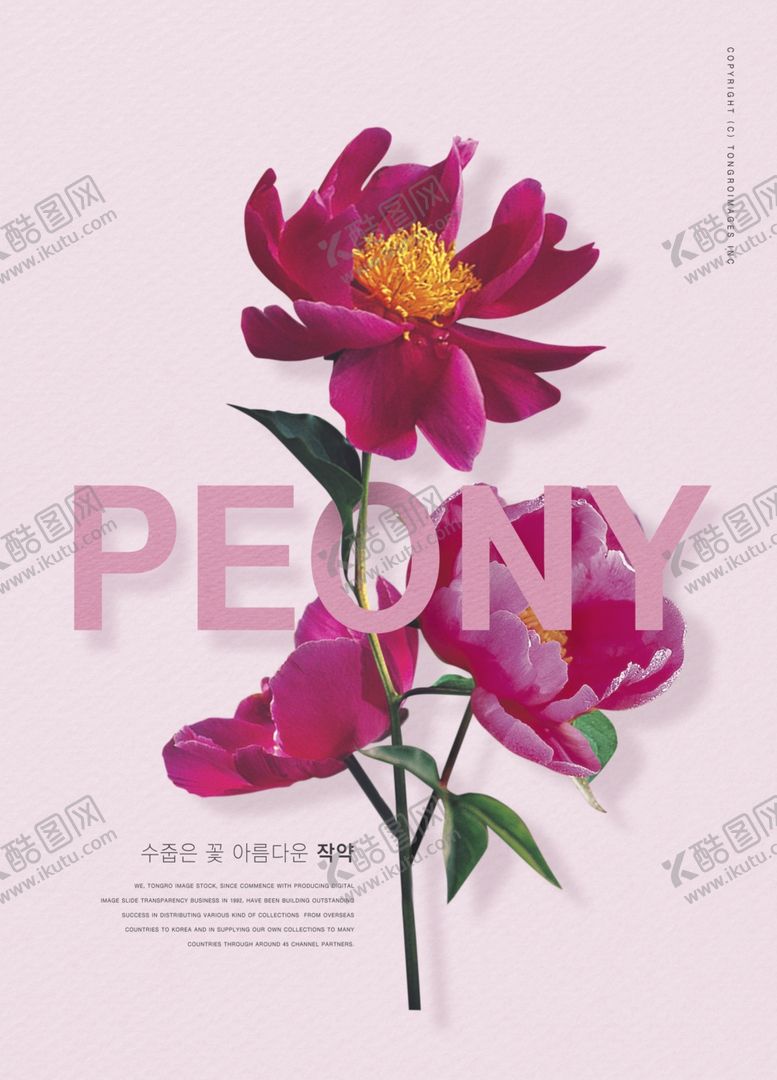 编号：97101209300027387202【酷图网】源文件下载-鲜花海报