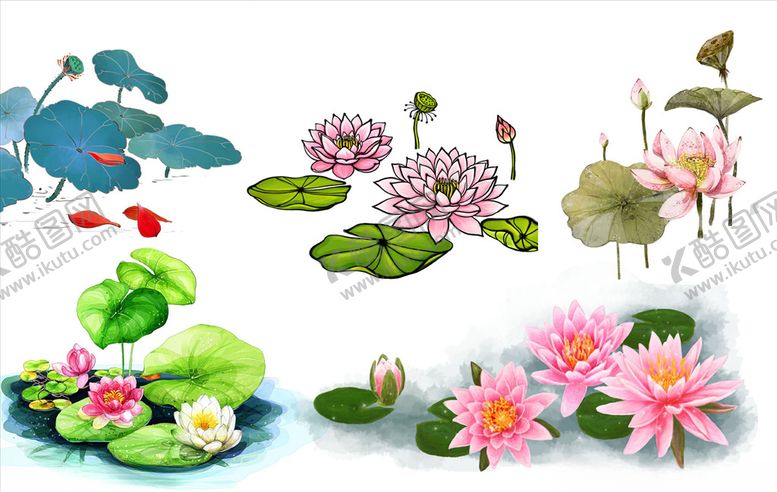 编号：31643310221659504983【酷图网】源文件下载-水墨手绘荷花