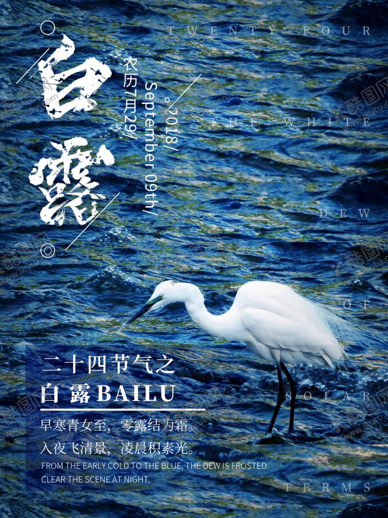 编号：99438009272031386670【酷图网】源文件下载-白露