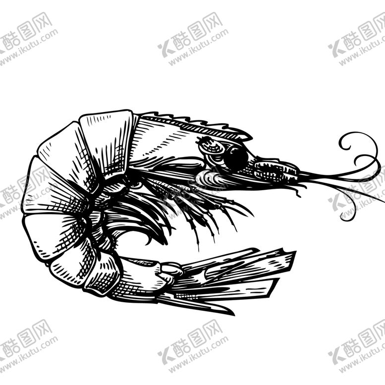 编号：57981609180328289248【酷图网】源文件下载-虾