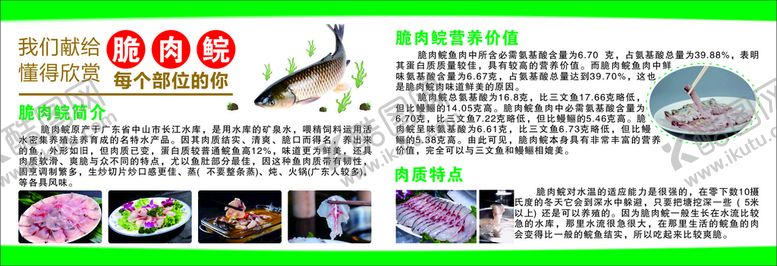 编号：81213001230809416428【酷图网】源文件下载-脆肉鲩