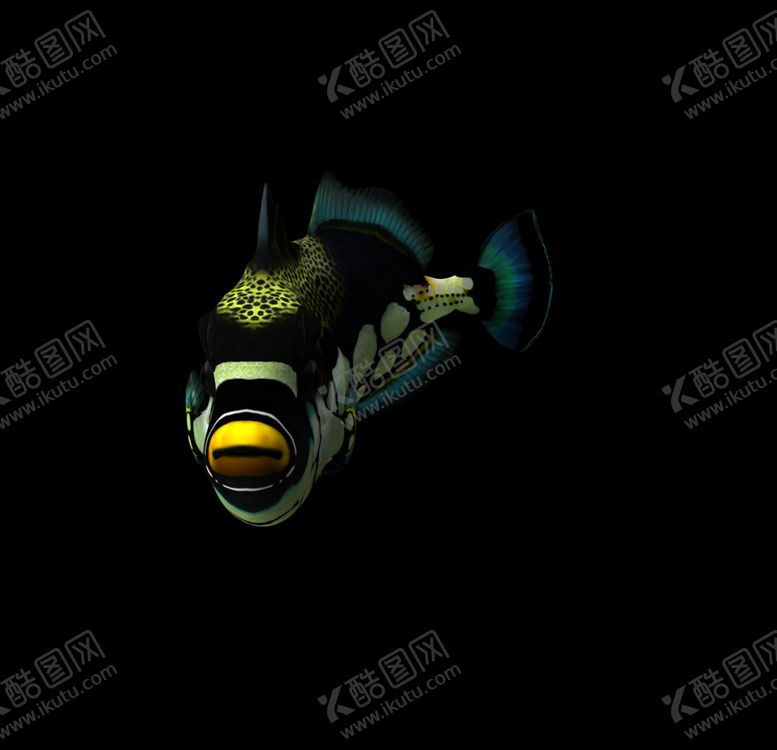 编号：19209207090940332431【酷图网】源文件下载-海洋生物