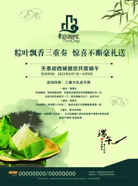 端午节龙舟展板安康