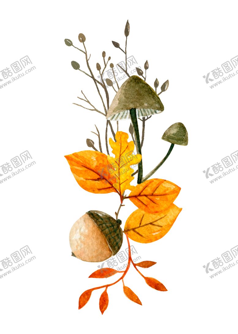 编号：46585809291509151753【酷图网】源文件下载-森系清新植物