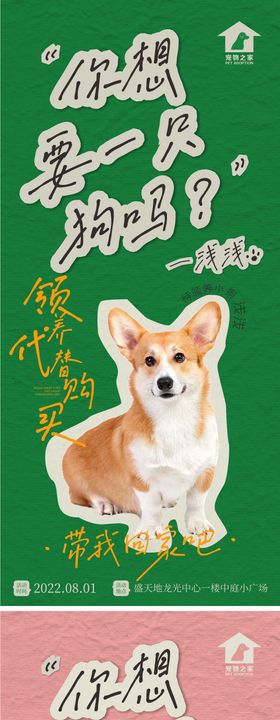 地产宠物领养日周末活动系列微海报