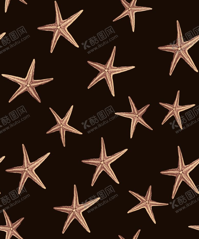 编号：10236207141549138242【酷图网】源文件下载-海星