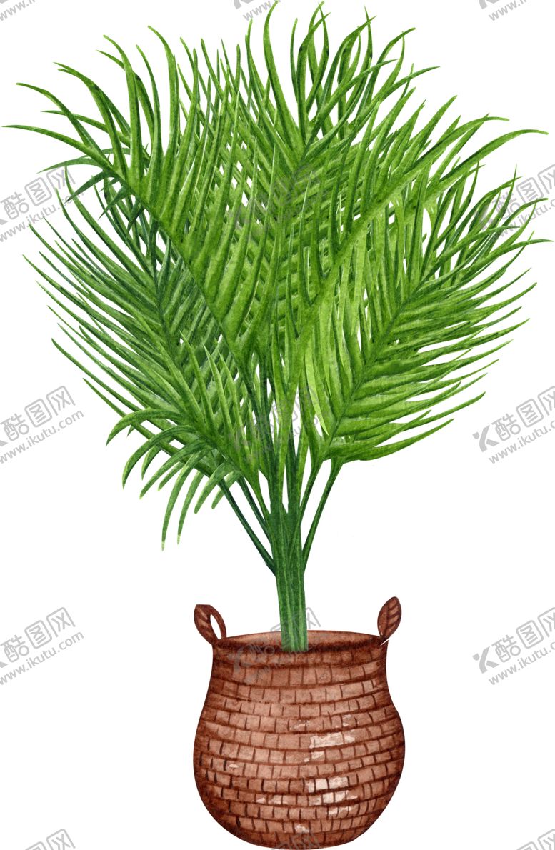 编号：65090309202153045417【酷图网】源文件下载-芭蕉叶水彩插画