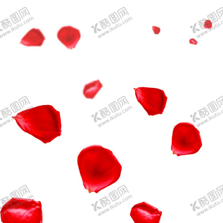编号：89293302091916587277【酷图网】源文件下载-情人节妇女节三八节花瓣