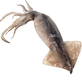 鱿鱼