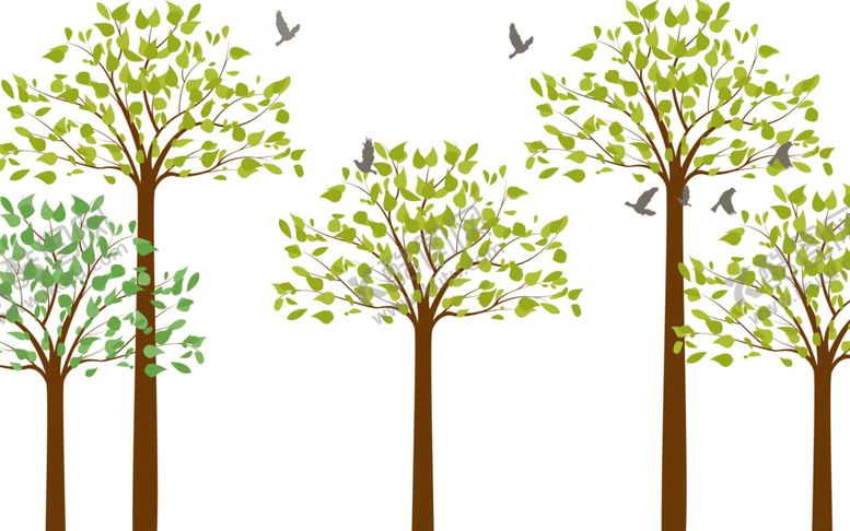 编号：72934506180711216159【酷图网】源文件下载-植物背景墙