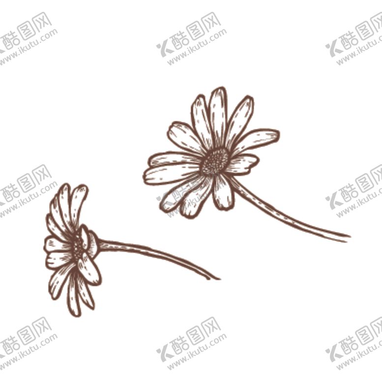 编号：42558209220154001437【酷图网】源文件下载-家养动物主题插画