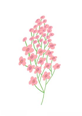 花枝