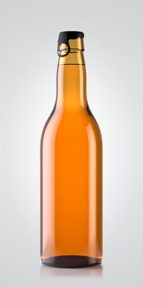 啤酒瓶子罐装包装效果图样机