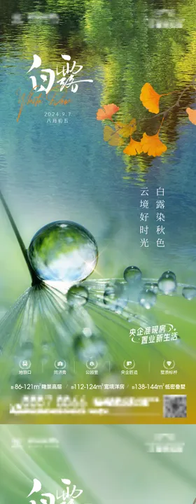 白露节气系列海报