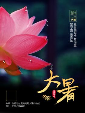 大暑节气莲花处微信