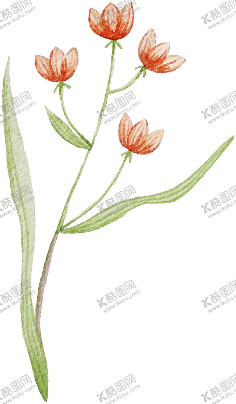 编号：85707405120954084764【酷图网】源文件下载-手绘植物