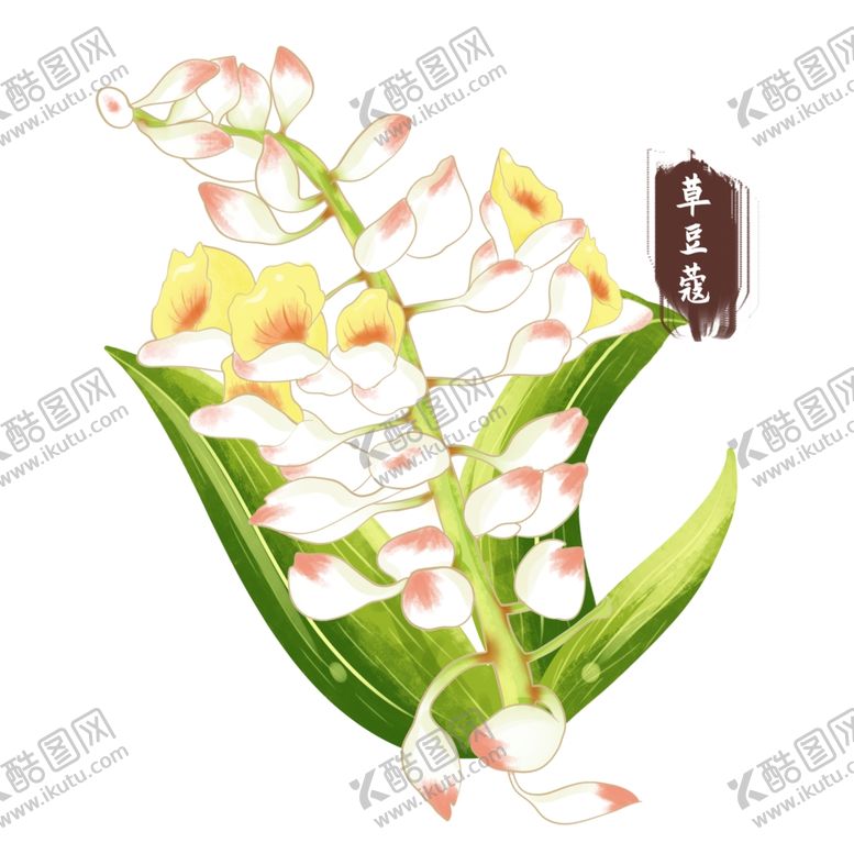 编号：39171301271409329618【酷图网】源文件下载-中药手绘插画