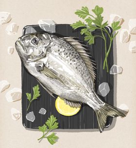 手绘海鲜插画海报