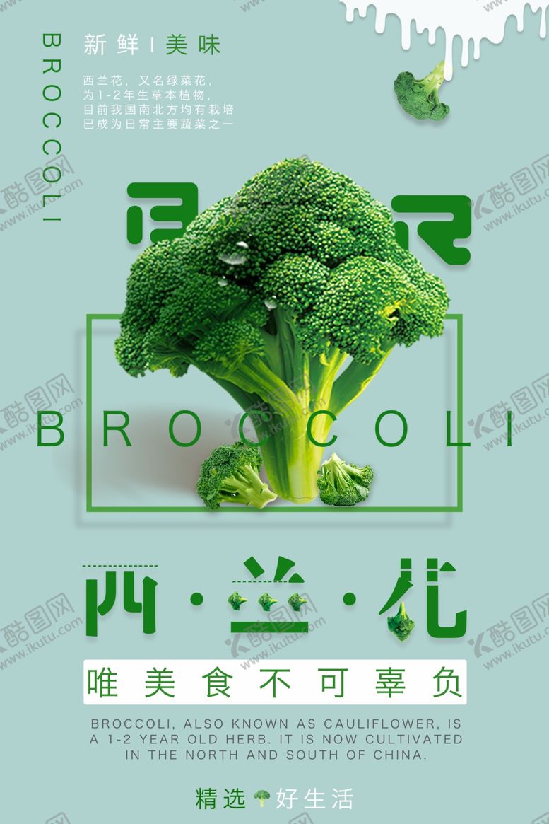 编号：53989210271748394827【酷图网】源文件下载-西兰花蔬菜海报