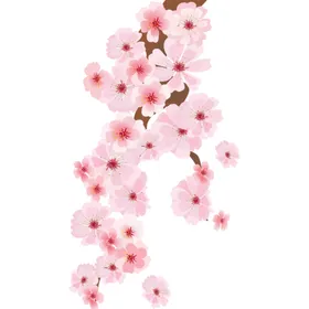 梅花桃花PNG清新中国风卉兰竹菊