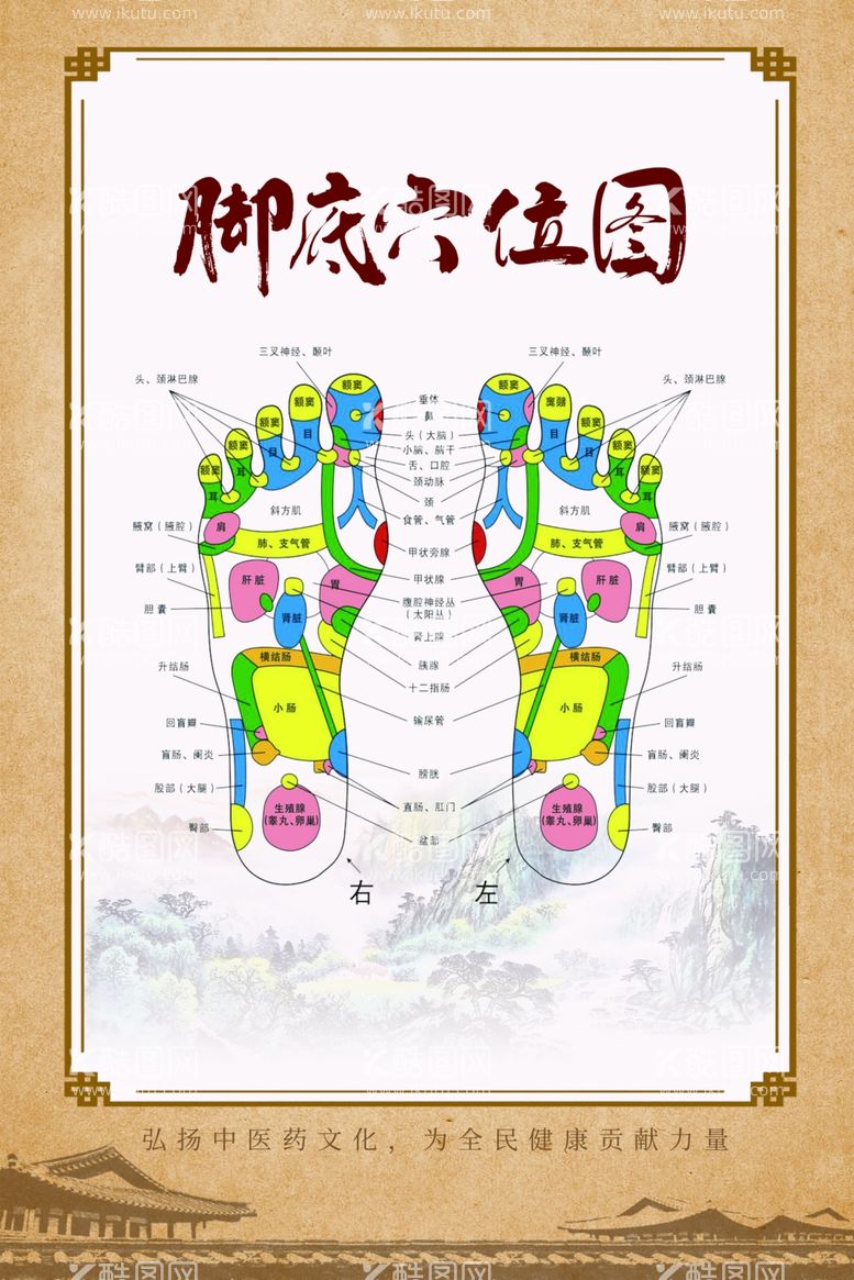 编号：66841512161509458865【酷图网】源文件下载-脚底穴位图海报